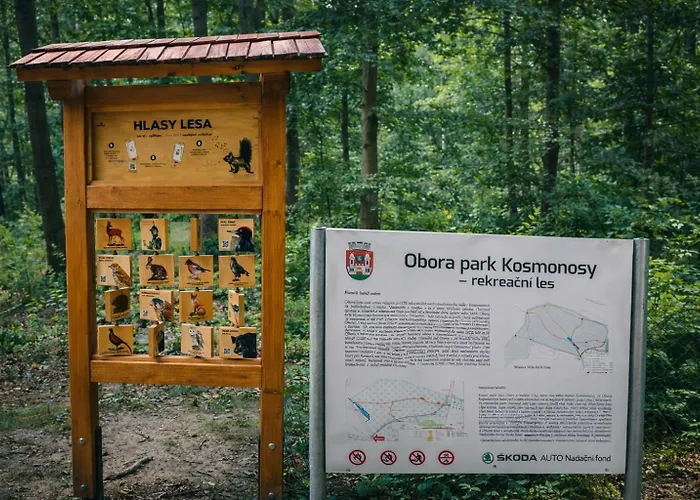 Autocamp Kosmonosy * Млада-Болеслав